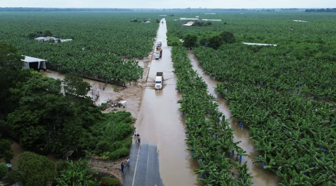 Tabasco – Depresión tropical Nadine deja desbordamientos y daños en Tabasco; 41 escuelas afectadas y suspensión de agua potable (El Universal)